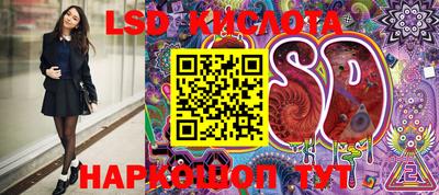 spice Кимры