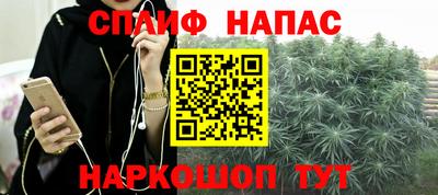 spice Кимры