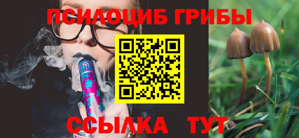 Коряжма  Псилоцибиновые грибы ЛСД  Вход с VPN 
